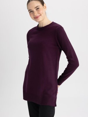 Regular Fit Bisiklet Yaka Tunik