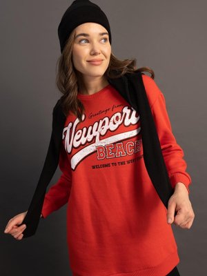 Relax Fit Bisiklet Yaka Baskılı Içi Yumuşak Tüylü Sweatshirt Tunik