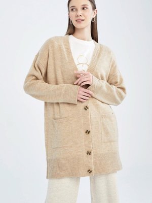 Regular Fit V Yaka Hırka