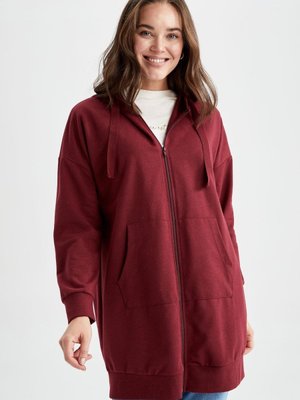 Regular Fit Uzun Kollu Tunik