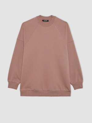 Regular Fit Bisiklet Yaka İçi Yumuşak Tüylü Sweatshirt Tunik