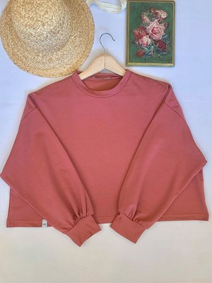 Gül Kurusu Ahsen Crop