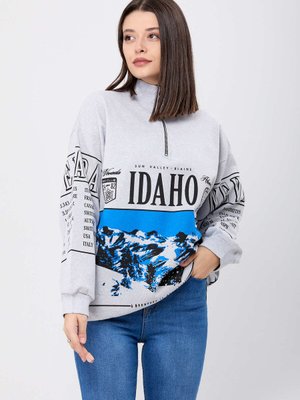 Grı Idaho Baskılı Yakası Fermuarlı Sweatshirt Grı Idaho Baskılı Yakası Fermuarlı Sweatshirt