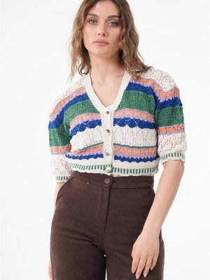 Renkli Düğmeli Hırka Karma Renkli Düğmeli Hırka Karma