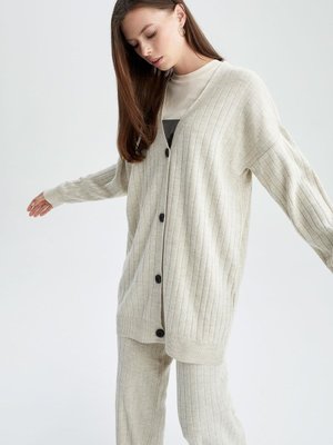 Regular Fit V Yaka Hırka