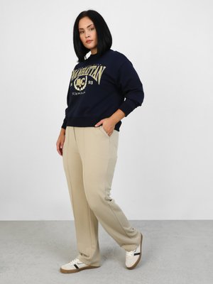 Açık Vizon Büyük Beden Önden Dikişli Yumuşak Tuşeli Eşofman Altı