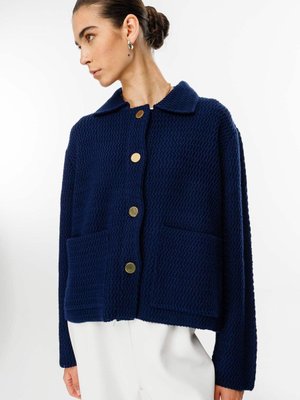 Gömlek Yaka Düğmeli Lacivert Hırka