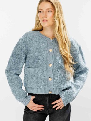 Tedy Dokulu Premium Buz Gri Hırka