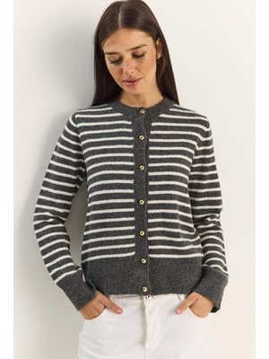 Antrasit Gold Düğme Detaylı İnce Çizgili Bisiklet Yaka Triko Hırka